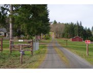NE Dobler Hill RD, La Center image