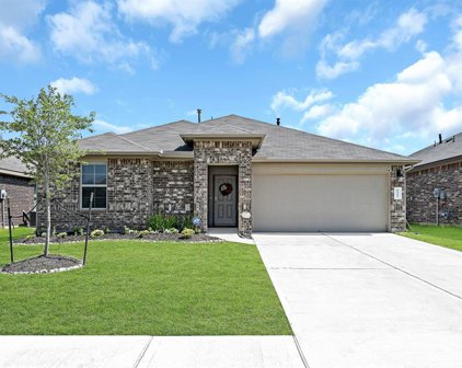 8407 Philox Park Court, Rosharon
