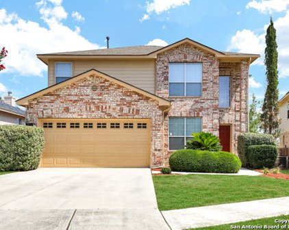 12111 Painted Daisy, San Antonio