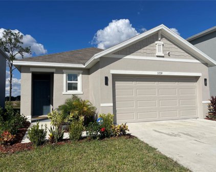 5739 Hollingworth Trail, Wesley Chapel