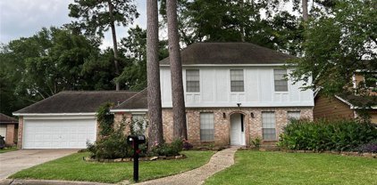 707 Romaine Lane, Houston