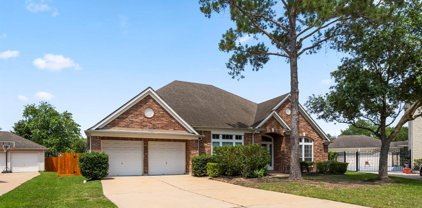 8710 Camden Row Court, Houston