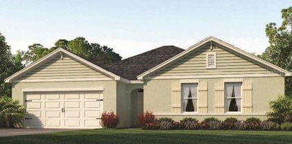 3250 Swan Song Court, Bartow