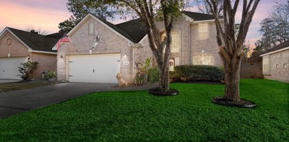20319 Water Point Trail, Humble