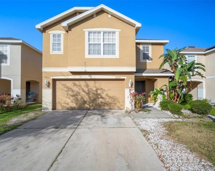 12121 Fern Blossom Drive, Gibsonton