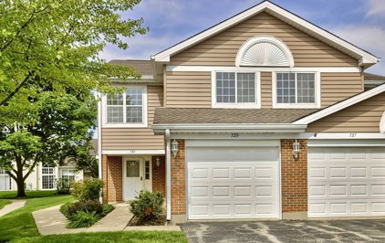 729 W Happfield Drive Unit #729, Arlington Heights