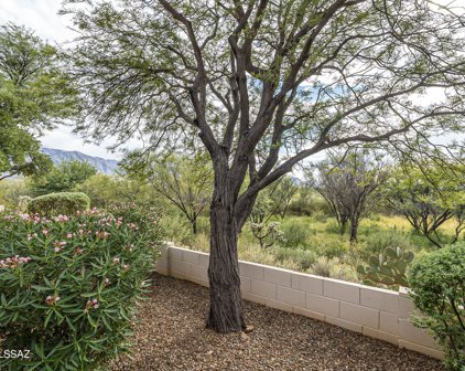 63585 E Vacation, Saddlebrooke
