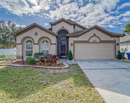 1113 Barclay Wood Dr, Ruskin