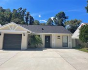 12422 Pepperfield Drive, Tampa image