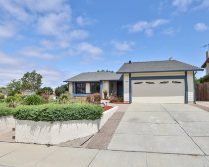 3003 King Estate, San Jose