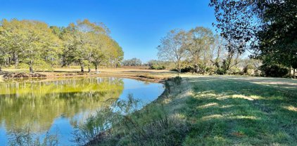 22.3ac County Rd 114, Brundidge
