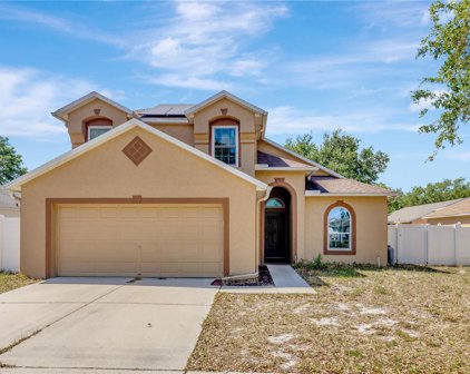3406 Pine Top Drive, Valrico