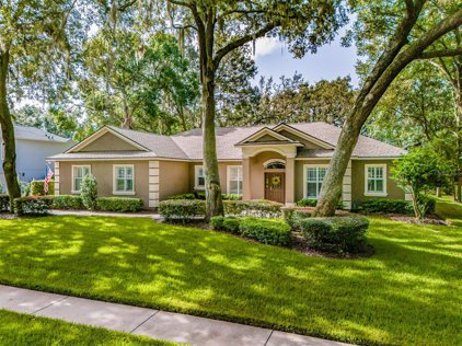 6229 Wild Orchid Drive, Lithia