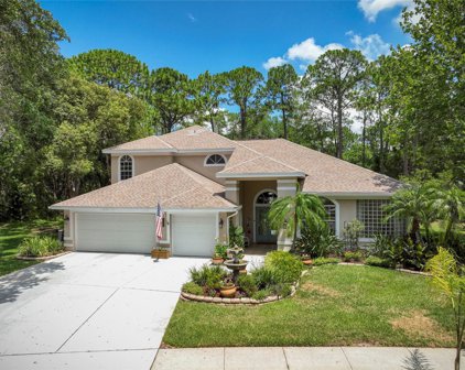 2339 Warwick Drive, Oldsmar