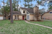 15527 Canterbury Forest Drive, Tomball image