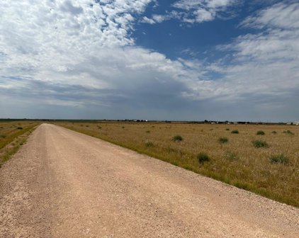 Lot 6 FM 41, Slaton