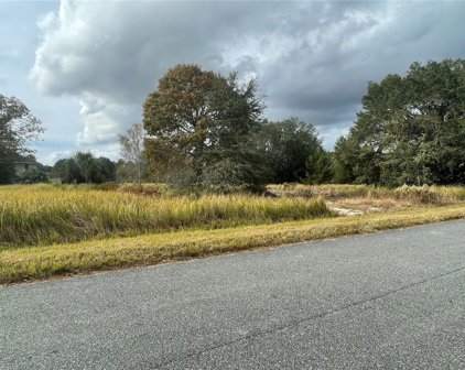Oak Run, Ocala