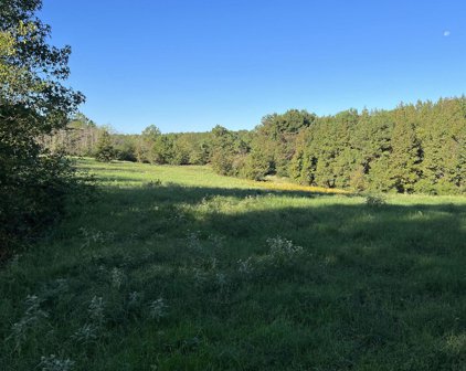 TBD Cr 4705, Troup