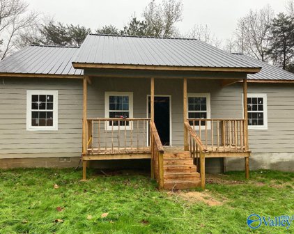 814 County Road 427, Fort Payne