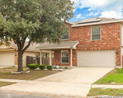 9007 Pinseeker, Selma