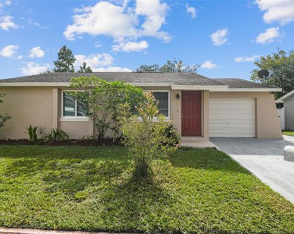 8507 Willow Forest Court, Tampa