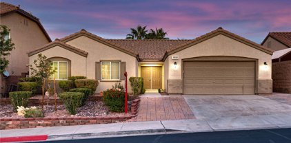 1002 Black Olive Street, Henderson