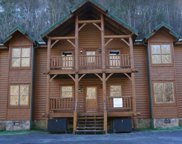307 Caney Creek Rd, Pigeon Forge image