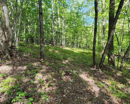 Lot 24 S Cross Creek Trail, Mill Spring