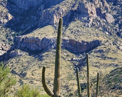 10625 N Del Sole Unit #77, Oro Valley