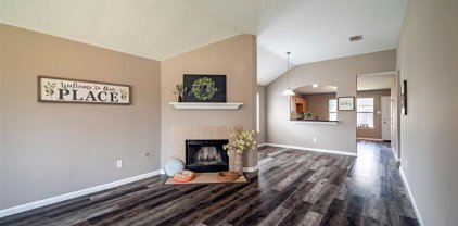 6319 Nullarbor Court, Katy