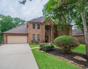 18407 Deer Crossing Drive, Humble image