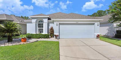 5237 Gato Del Sol Circle, Wesley Chapel