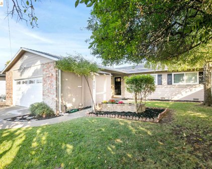 3144 Bonifacio St, Concord
