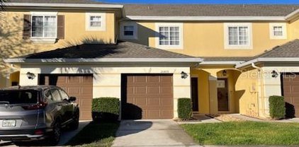 20478 Needletree Drive, Tampa