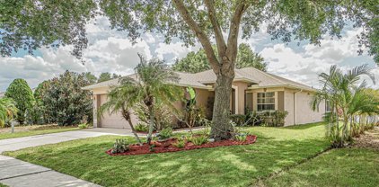 1421 Birchstone Avenue, Brandon