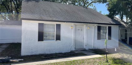 1403 College Park Lane, Tampa