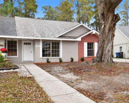 3213 Laurel Dale Drive, Tampa