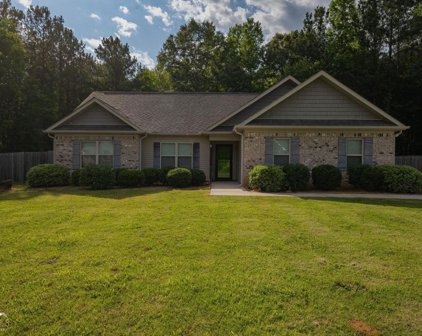 228 Liberty Trace, Milner