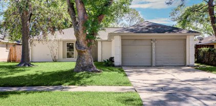3019 Early Turn Drive, Webster