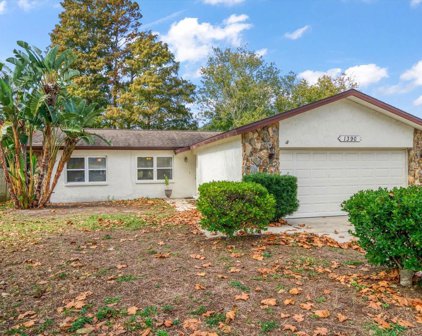 1390 Windmoor Drive, Dunedin