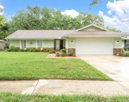 15105 Winterwind Drive, Tampa image