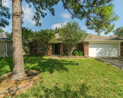 3012 Quill Meadow Drive, League City