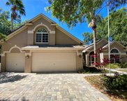 4702 Ranch Grove Court, Valrico image