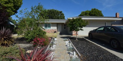 3372 S Francisco Way, Antioch