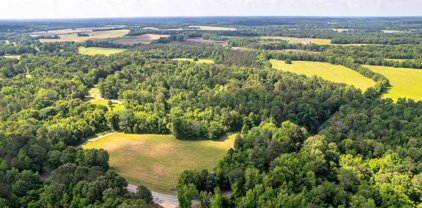 TBD Mayridge, Arkadelphia