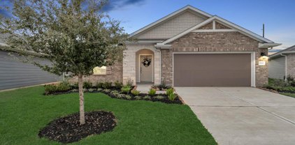 12726 Oat Grass Drive, Crosby