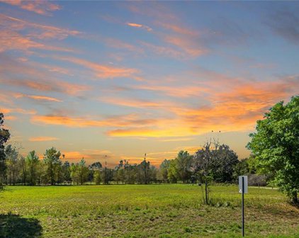 11735 Knights Griffin Road, Thonotosassa