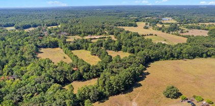 LOT 1 TBD HWY 110, Troup