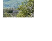 Mother Grundy Truck Trl, Jamul image