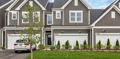 12746 S Nicholas Drive, Plainfield